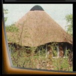 Otjitotongwe Cheetah Farm Otjitotongwe Cheetah Farm